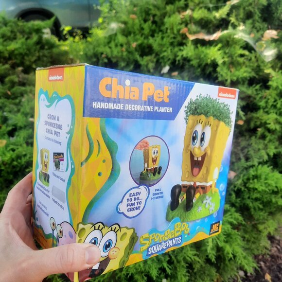 Nickelodeon SpongeBob SquarePants Chia Pet Decorative Planter New Open Box - Picture 3 of 4